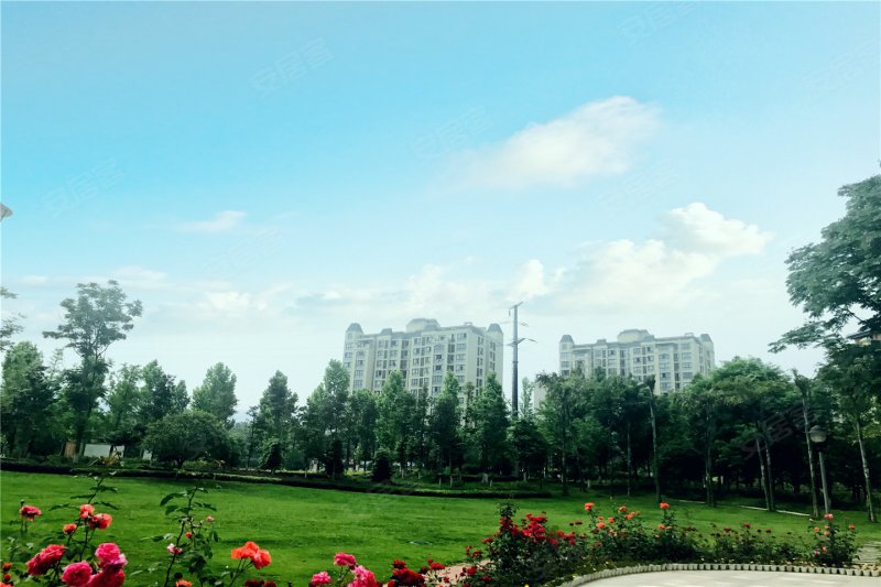 重庆爱情谷-实景图(12) - 重庆安居客