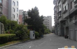 华西村人均收入_小区人均商业(3)