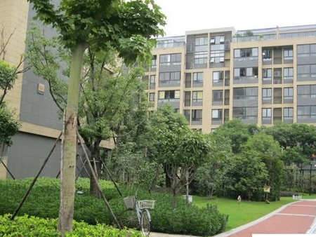 奥体新城青桐园,南京奥体新城青桐园房价,楼盘