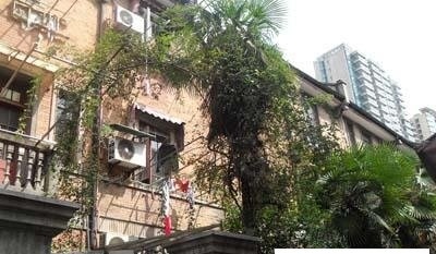静安户型,静安上海房价别墅,周边别墅,楼盘配套谷谷别墅平图片