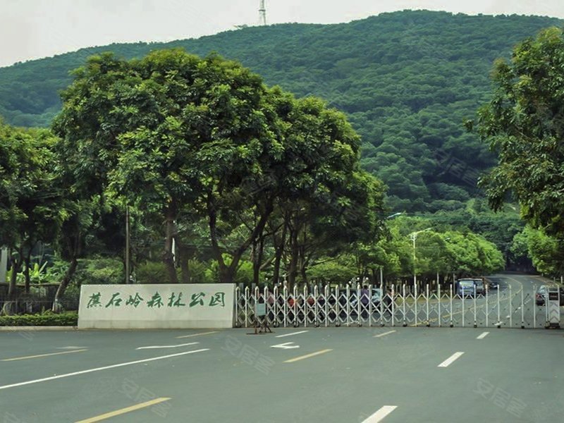 蕉石岭森林公园