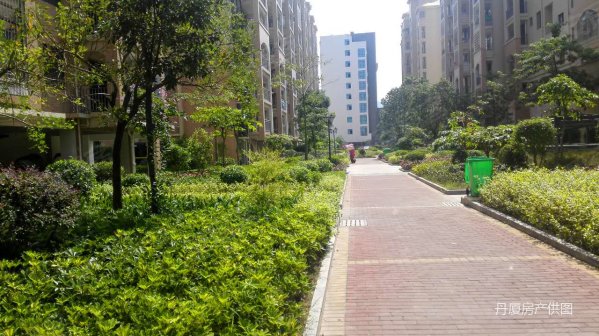 5000/平团购厦门西长泰盛世嘉园 大三房首付十万 建坤角美