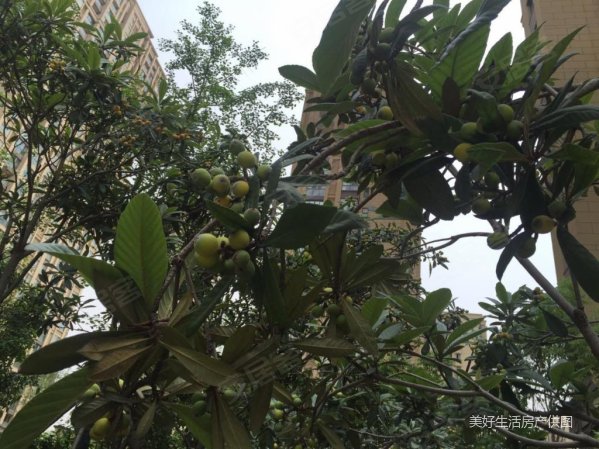 【多图】启迪慧园清华科技园3房1厅1卫有税费