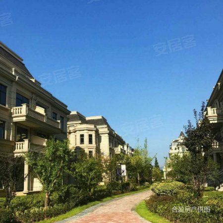 法式宫廷高端别墅,轻轨就在家门口,周围配套齐全, 铂金公馆二手房, 5