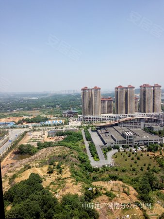 出门就是轻轨口 尖山湖公园 金地亚小区 环境优美 值得拥有