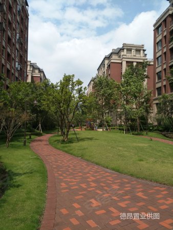 龙湖观澜正规3房,业主急用钱,诚心出售,只卖这个星期!