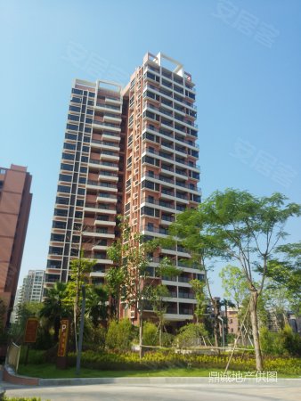 悦湖苑 大3房 全新小区 南可看湖北可看江 南北通透