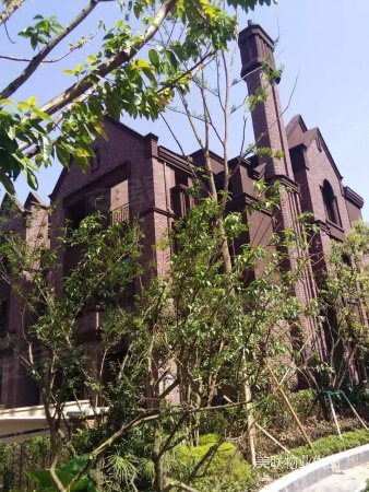 融创国博城联排别墅,大花园多个露台带双指标可转合同!诚心急售