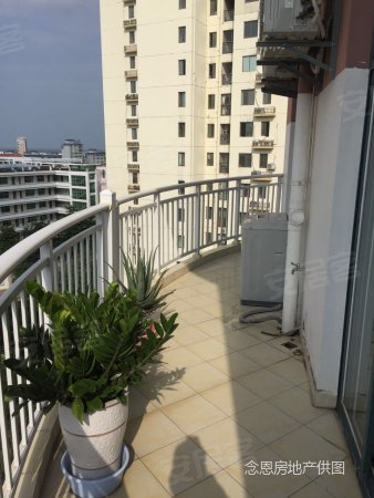 海甸岛99海景花园:5室3厅2卫 160平米跃层仅售20