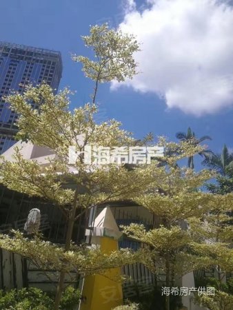 莲花别墅二手房, 5室3厅4卫, 2200万元 - 厦门58安居客