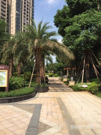 碧桂园附近新楼盘!78平毛坯两房!位置好楼层高!总价115万