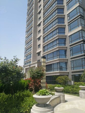 青岛逸景湾 123米超大楼间距 超大花园景观 低于市场