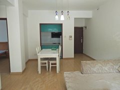 武汉80-100万元90-120平米二室普通住宅百居