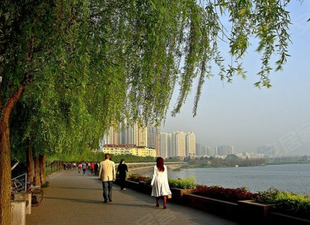 滨江丽景,遂宁滨江丽景房价,楼盘户型,周边配套