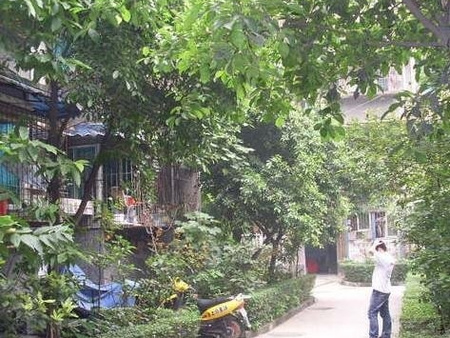 火车南站西路小区,成都火车南站西路小区房价